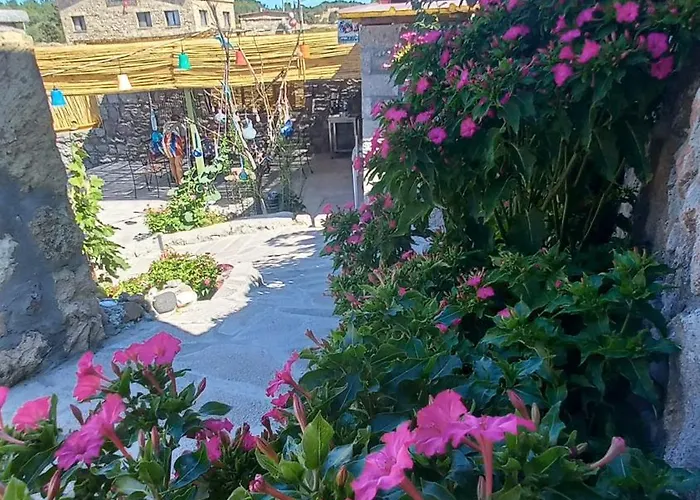 Assos Egedebirnefes Kır Evi